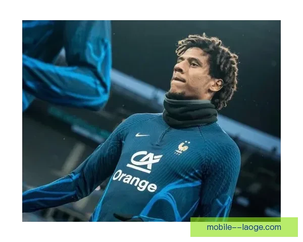 尼斯后卫托迪博因赛后言辞不当被罚款两万欧元